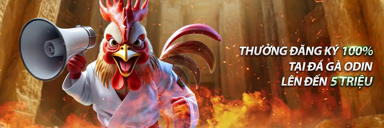 Ứng dụng đá gà trực tiếp với bình luận viên chuyên nghiệp trên điện thoại