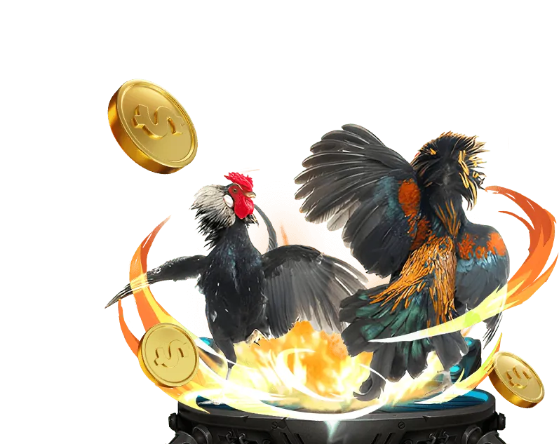 Tổng quan lợi ích của nền tảng đá gà trực tiếp uy tín